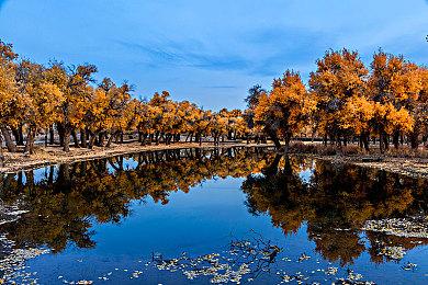 经典摔角综合格斗游戏 《周末勇士》登陆steam